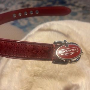 Gorgeous deep maroon Signature Coach dog collar